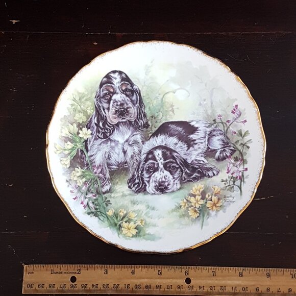 Vintage Royal Kent Cocker Spaniel Puppy Bone China Collector Plate - Picture 2 of 7